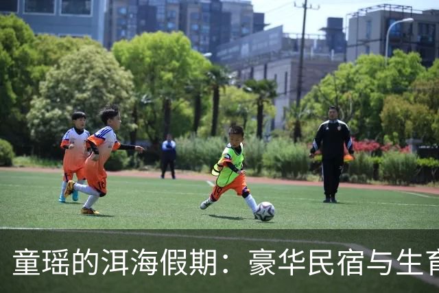 童瑶的洱海假期：豪华民宿与生育大计的碰撞